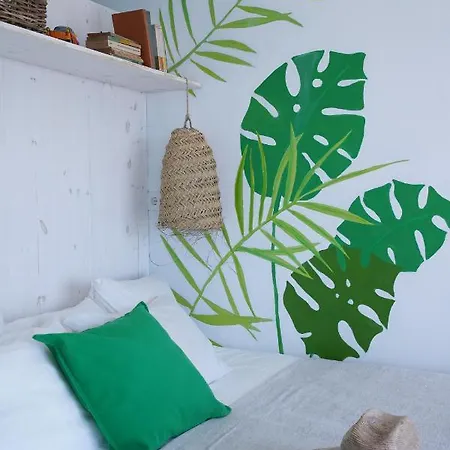 埃里塞拉舒尔冲浪旅馆 埃里塞拉