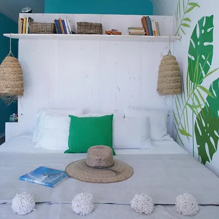 旅馆 埃里塞拉舒尔冲浪旅馆 埃里塞拉