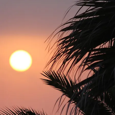 埃里塞拉舒尔冲浪旅馆 旅馆 埃里塞拉