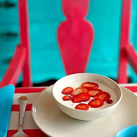 Chill In Surf House