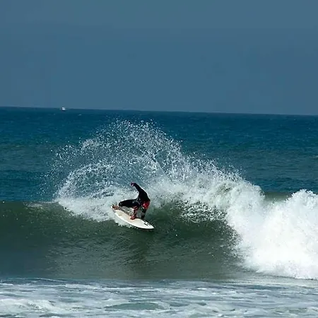 Chill In Surf House